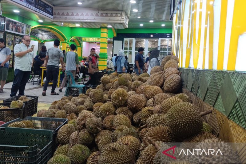 Pilihan oleh-oleh khas Medan