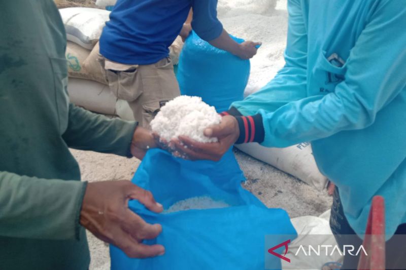 DKPP Cirebon tingkatkan kapasitas petani garam melalui pembentukan koperasi