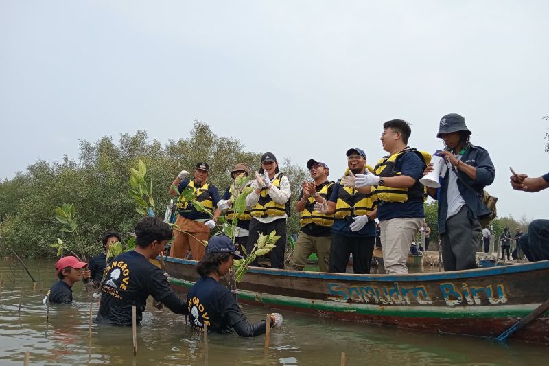 5.000 mangrove ditanam di pesisir Muara Gembong Bekasi