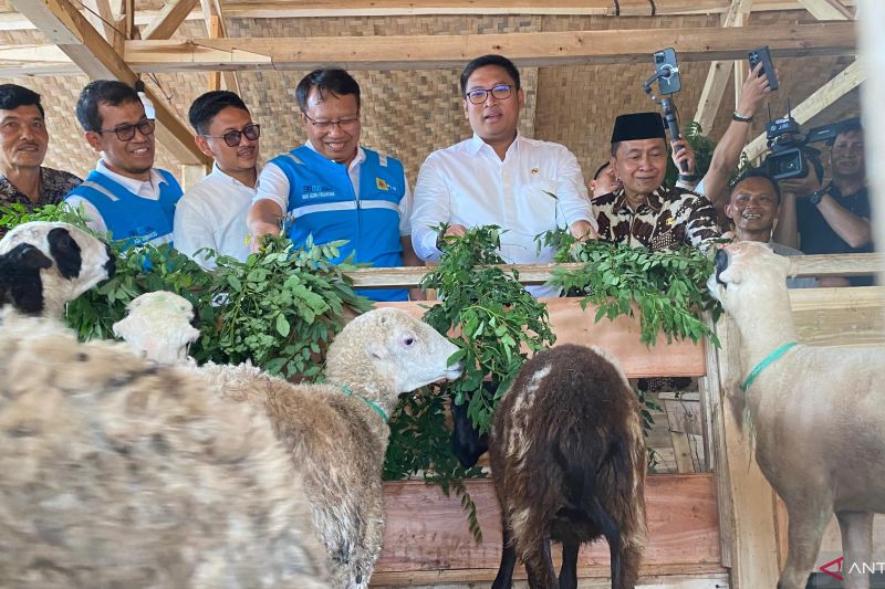 PLN memberdayakan warga Tasikmalaya produksi biomassa untuk cofiring PLTU