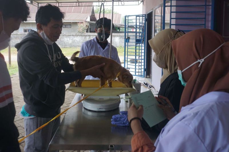 Vaksinasi rabies di Makassar