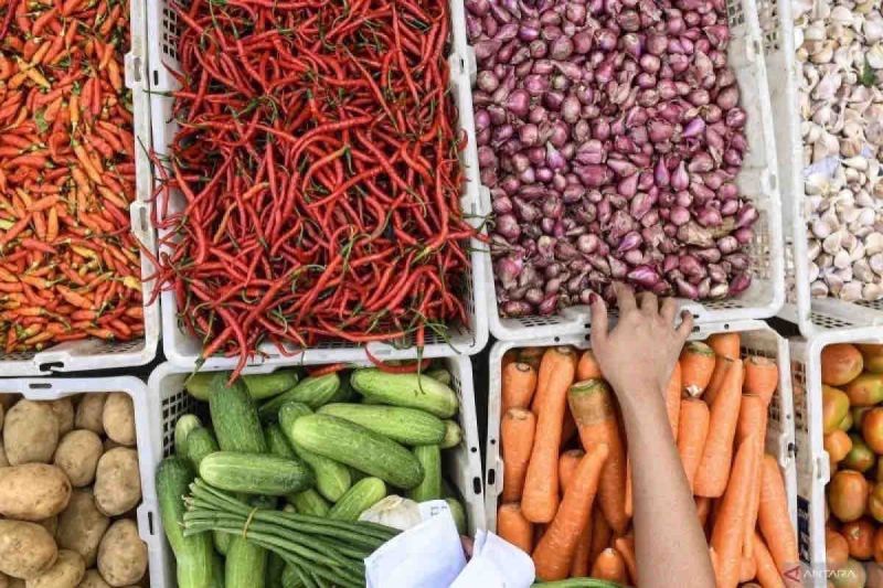 Harga pangan, bawang merah turun jadi Rp28.180 per kg