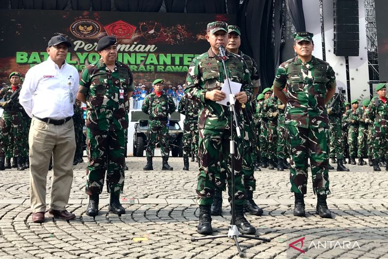 Panglima memastikan prajurit TNI di Lebanon dalam keadaan baik