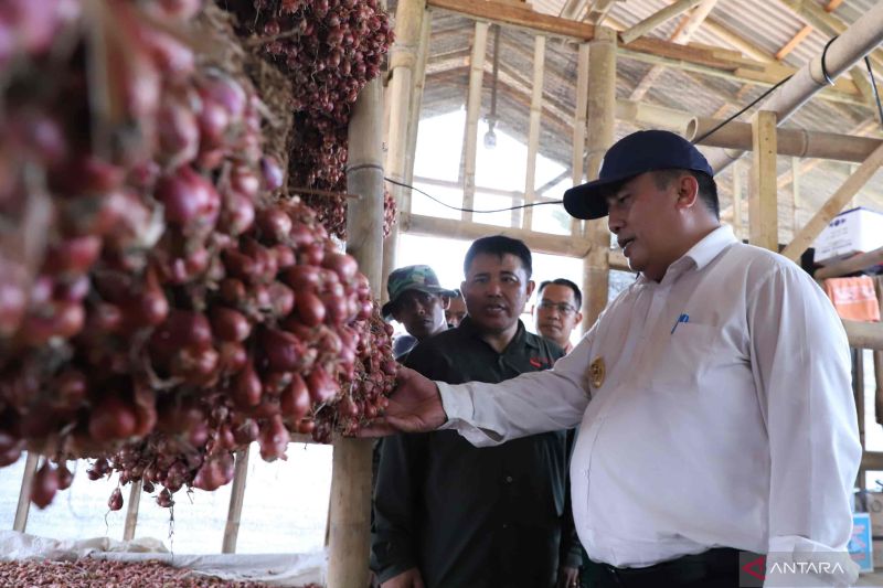 Pj Bupati Bekasi mengunjungi sentra budidaya bawang merah milik Korem Wijayakarta