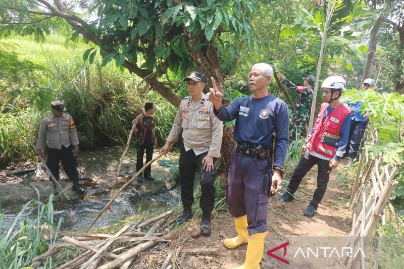 Tim gabungan penyelamatan hewan pastikan tak ada buaya berkeliaran