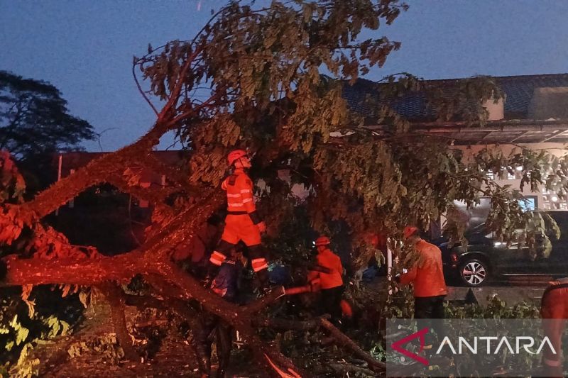 Kota Bogor tangani 10 bencana akibat hujan deras dan angin kencang Jumat malam