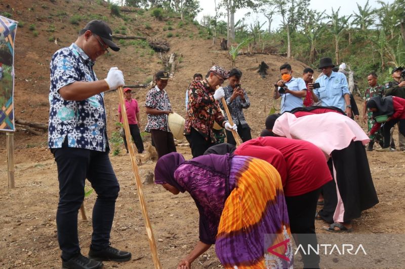 Kuningan perluas penanaman padi gogo di sejumlah kecamatan