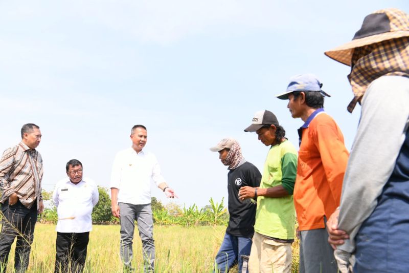 Gerakan pangan murah upaya stabilkan harga dan membantu rakyat Jabar