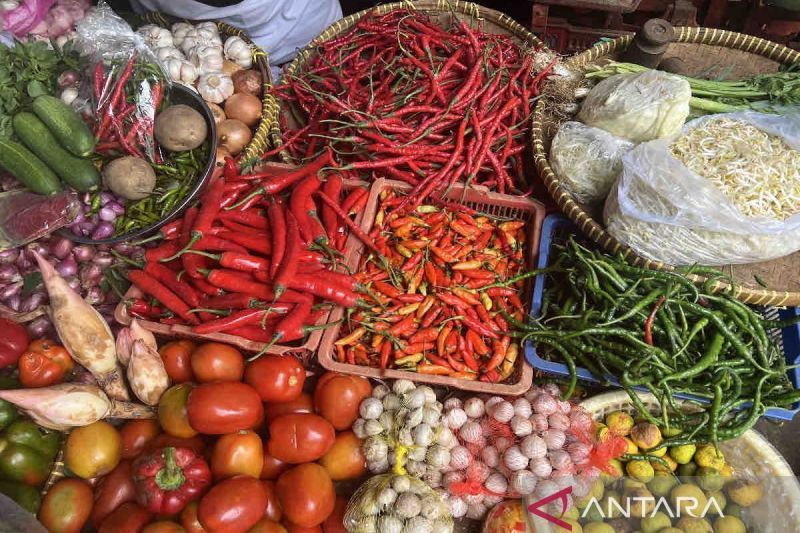 Harga pangan mayoritas turun, cabai rawit Rp44.900 per kg