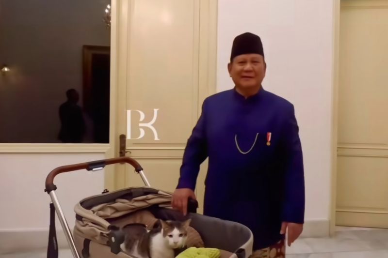 Bobby si kucing resmi sebagai penghuni Istana Negara temani Prabowo dinas