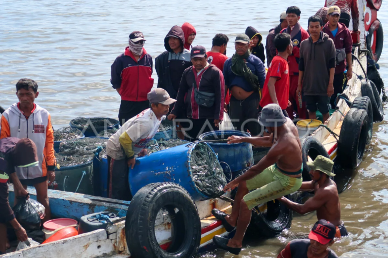 Tangkapan ikan lemuru meningkat