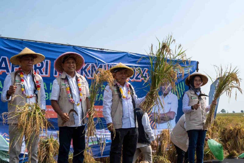 Pupuk Indonesia menerapkan teknologi presisi budidaya padi di Subang