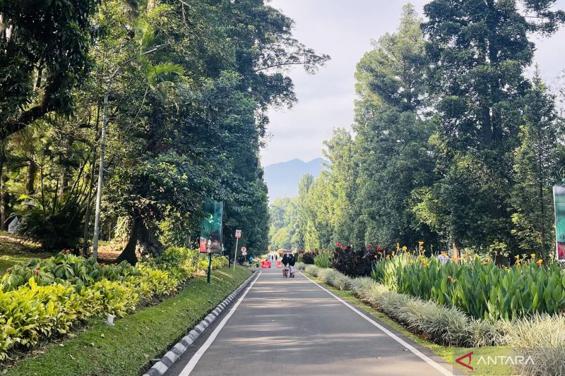 Warga diimbau waspada perubahan cuaca di Kota Bogor