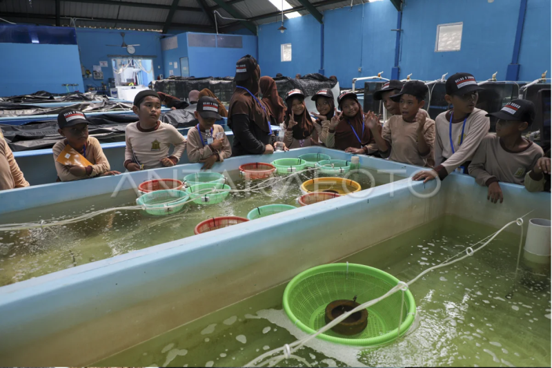 Pembelajaran budidaya ikan laut di Batam