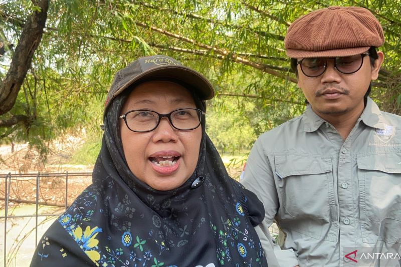 BBKSDA Jabar tuntaskan proses evakuasi 64 buaya muara di Cianjur