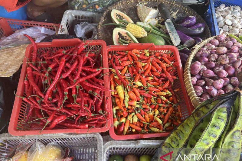 Harga bawang merah naik menjadi Rp30.620 per kg