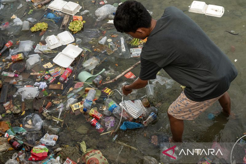 Aksi bersih Pantai Teluk Lalong di Banggai