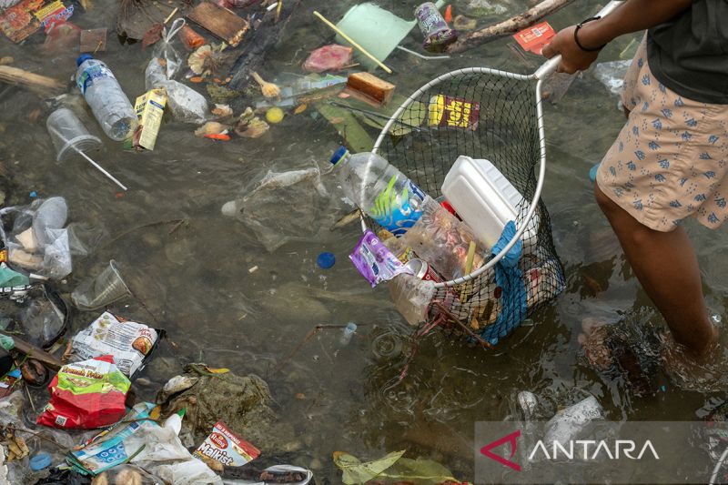 Aksi bersih Pantai Teluk Lalong di Banggai