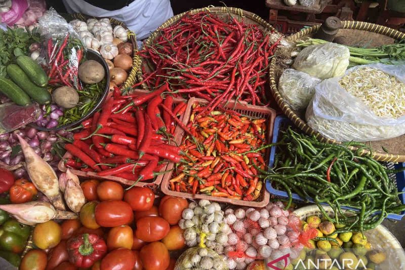 Harga cabai rawit jadi Rp41.480 per kg