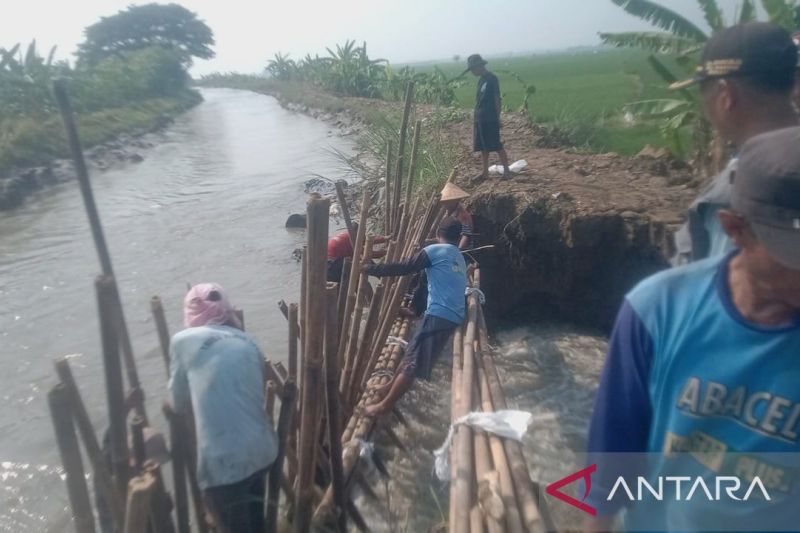 Relawan bencana Bekasi bergotong royong perbaiki tanggul jebol