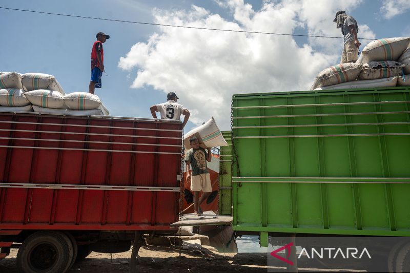 Aktivitas buruh angkut di Pelabuhan Rakyat Luwuk