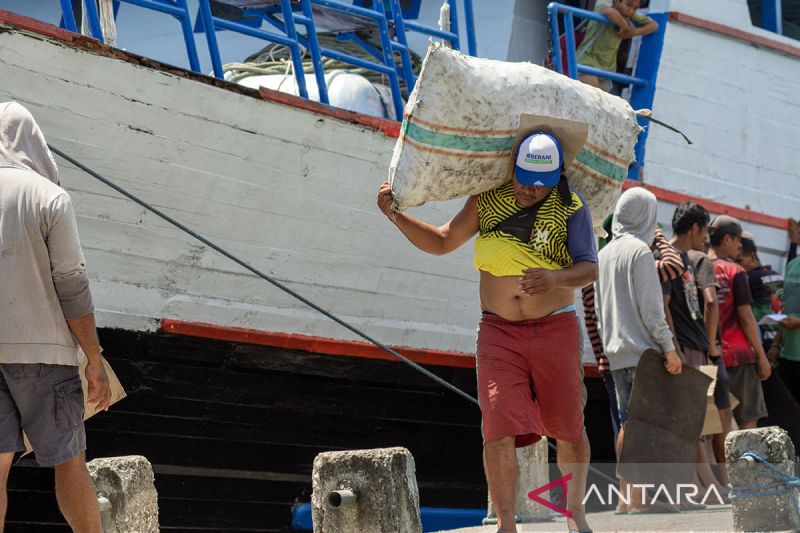 Aktivitas buruh angkut di Pelabuhan Rakyat Luwuk