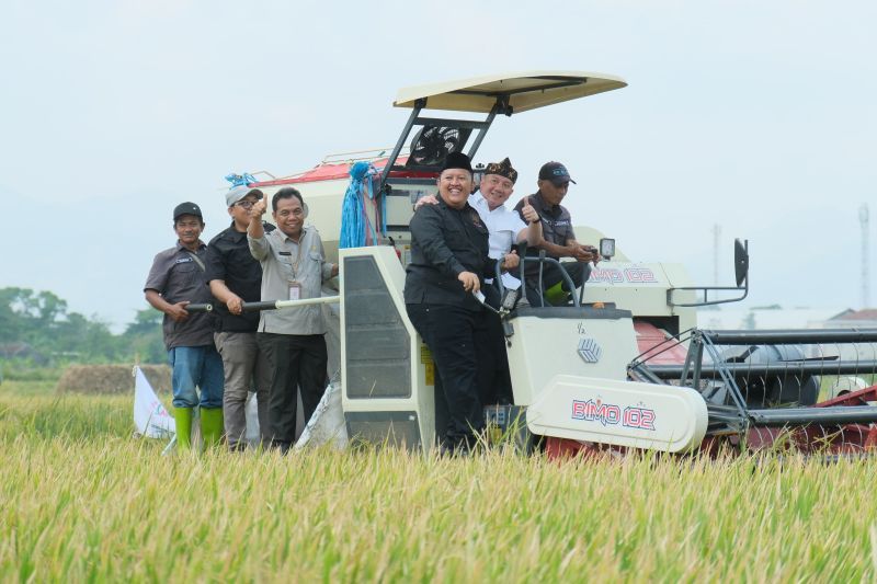 Pemuda Tani syukuran dan panen raya atas pelantikan Prabowo jadi Presiden RI