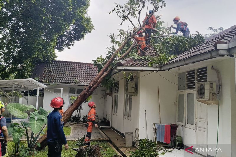 BPBD Kota Bogor tangani 5 bencana cuaca ekstrem