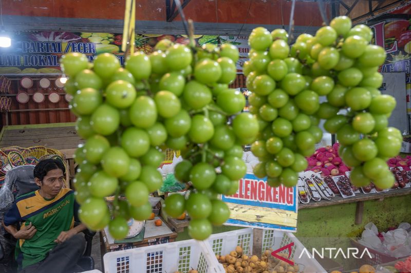 Tidak ditemukan residu pestisida pada anggur Shine Muscat