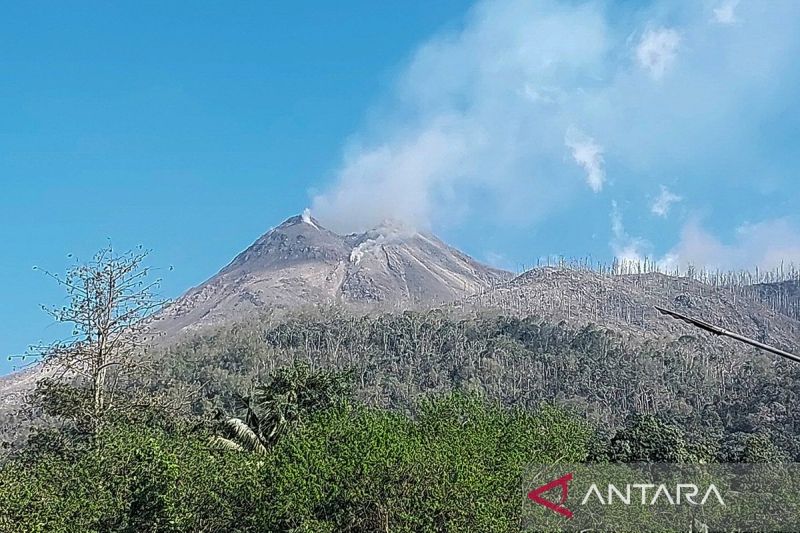 Erupsi Gunung Lewotobi Laki-Laki tewaskan 10 warga - ANTARA News