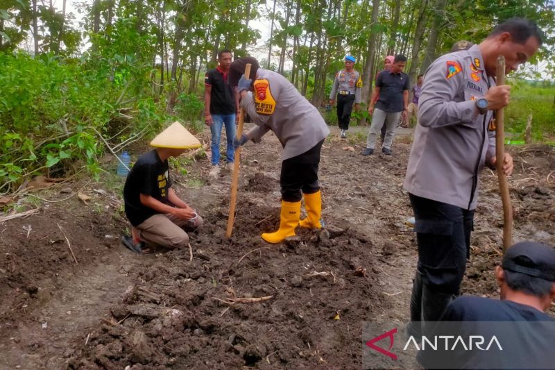 Polresta Cirebon memberdayakan anak jalanan untuk dukung ketahanan pangan