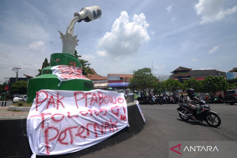 Aksi mandi dan membuang susu sapi di Boyolali