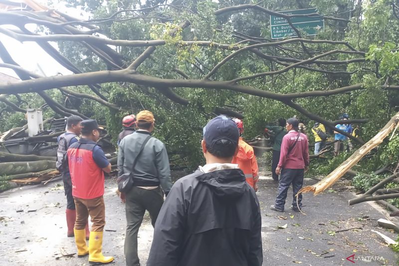 BPBD Cimahi menangani 27 bencana akibat hujan deras dan angin kencang