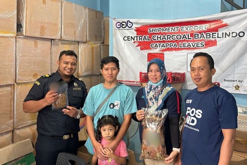 Lima Ribu Bungkus Daun Kering Tembus Pasar Inggris