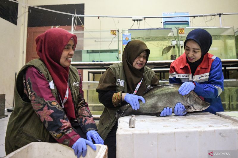 Pertamina kuatkan riset energi dan pangan lewat PFsains