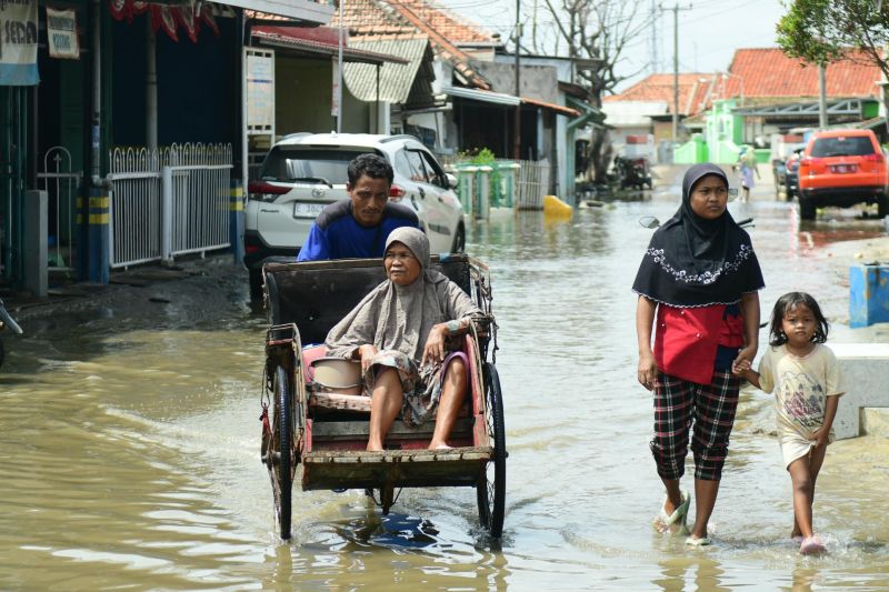 Indramayu percepat penanganan dampak banjir rob