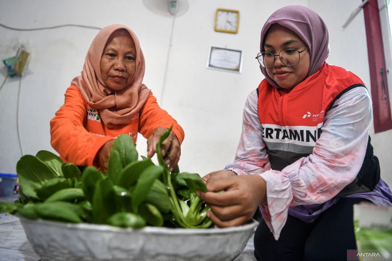 Kelompok bina tani berkah Binaan Kilang Pertamina Plaju