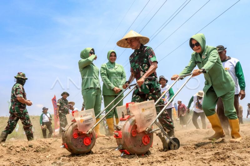 TNI tanam benih jagung di Lombok Timur