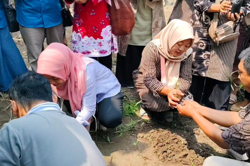 Pemkab Cirebon dan Polresta menggagas program pekarangan pangan bergizi