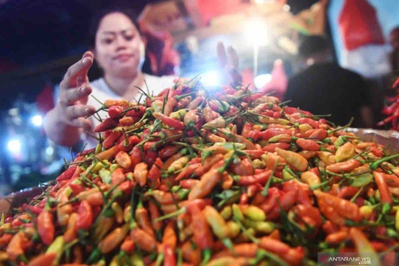 Harga pangan, cabai rawit merah naik Rp3.050 menjadi Rp41.580 per kg