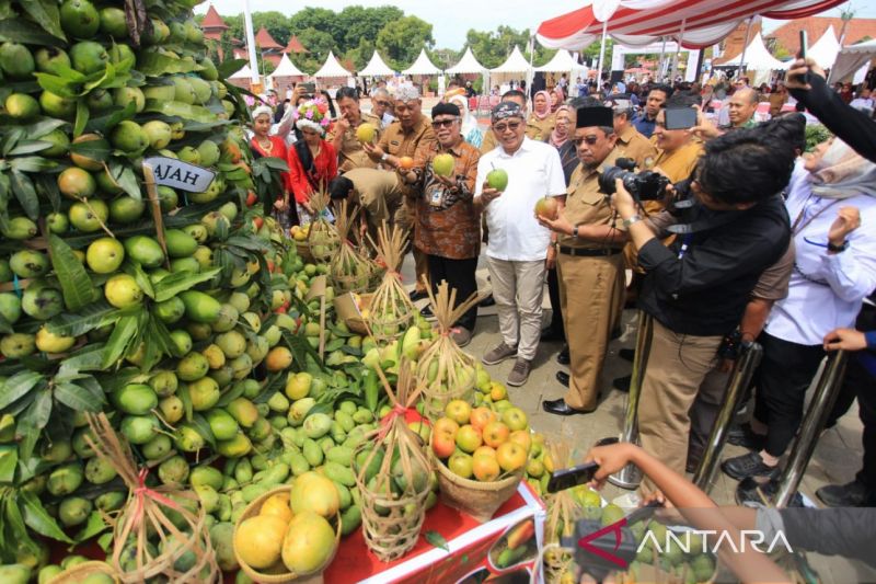 Pemprov Jabar bantu mempromosikan komoditas mangga unggulan Indramayu