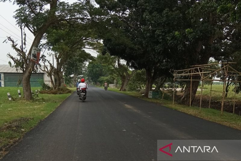 DPUTR Cirebon prioritaskan perbaikan 200 km jalan tahun depan