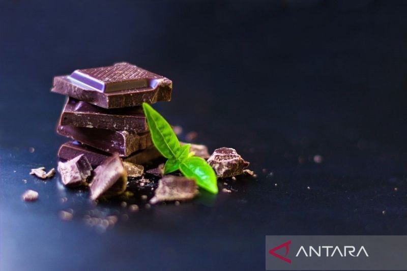 Simak! Pertimbangkan konsumsi cokelat hitam pada saat hamil