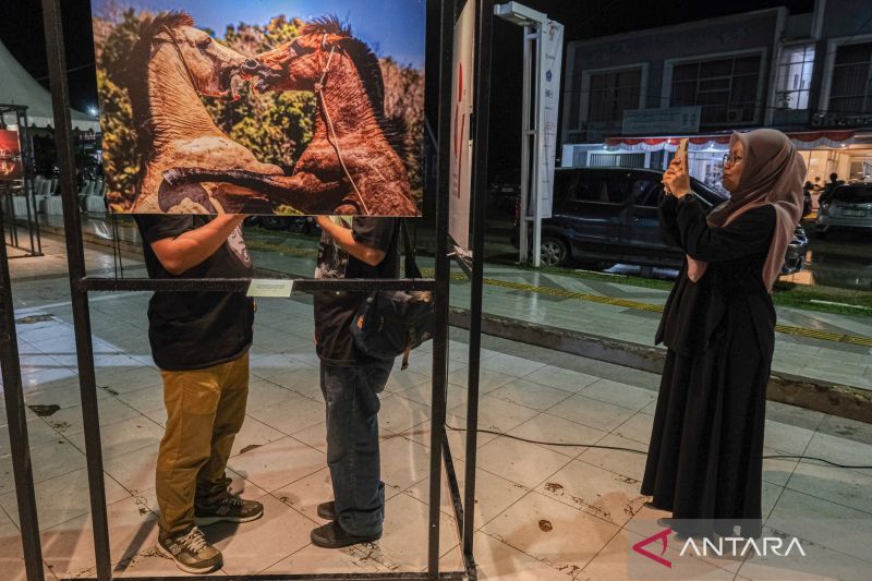 Pameran foto Celebes di Kendari