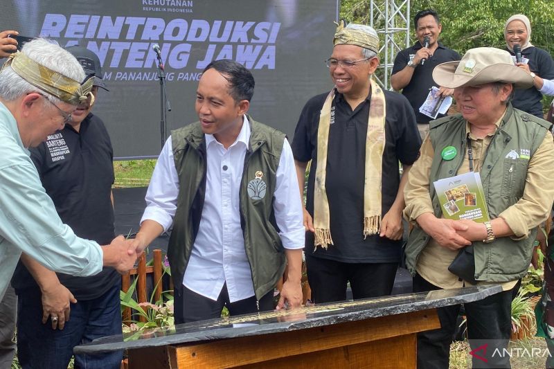 Kemenhut perkuat kolaborasi menjaga spesies dilindungi dan habitatnya