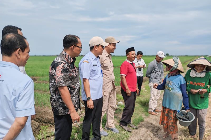 Pemkab Tangerang dan Pemkab Cirebon kerja sama pemenuhan kebutuhan bawang