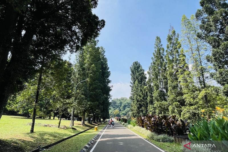 Kebun Raya Bogor laporkan tindak kekerasan terhadap satpam ke polisi