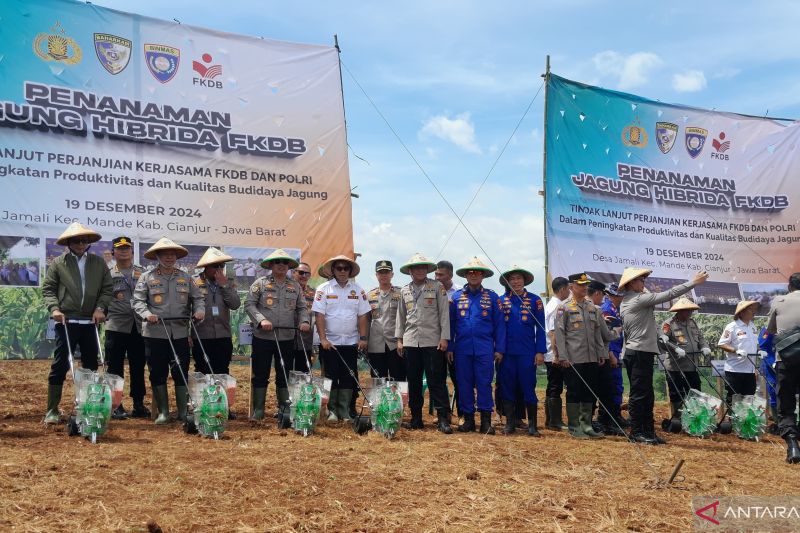 Baharkam Polri tanam jagung hibrida di lahan 20 hektare di Cianjur