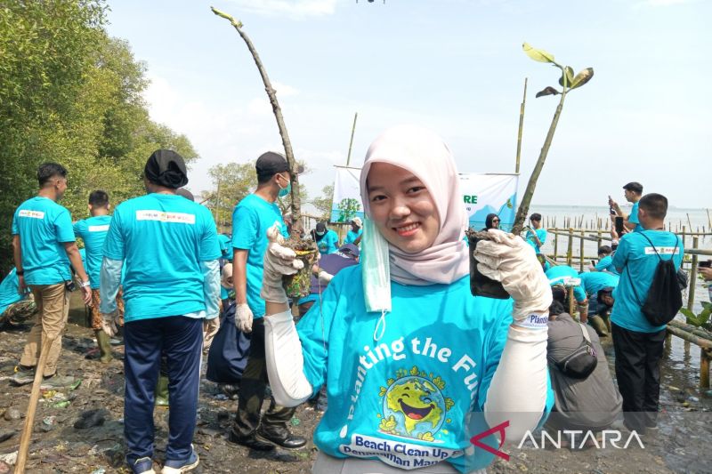 Pelni tanam 2 ribu bibit mangrove di Cirebon