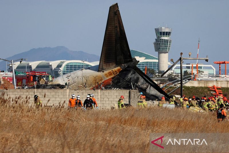 Kecelakaan pesawat Jeju Air di Bandara Muan Korsel, korban diperkirakan 120 orang